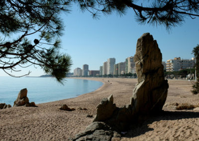 estudis-laura-platja-d'aro-cavall-bernat